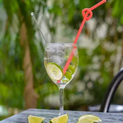 Gin Tonic