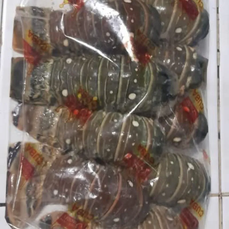 Langosta 