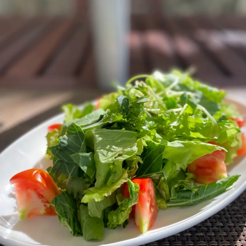 Ensalada de  Vegetales  Frescos 