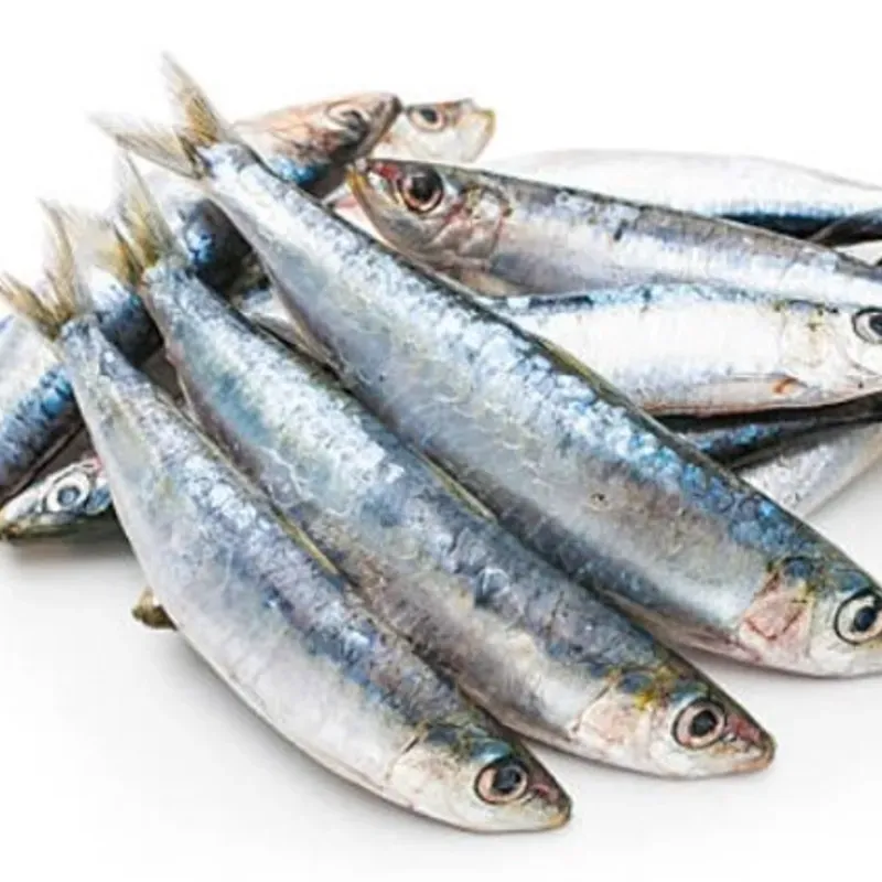 Pescado,Sardinas, 1 lb