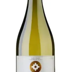 Vino blanco, Chardonnay, Santa Digna