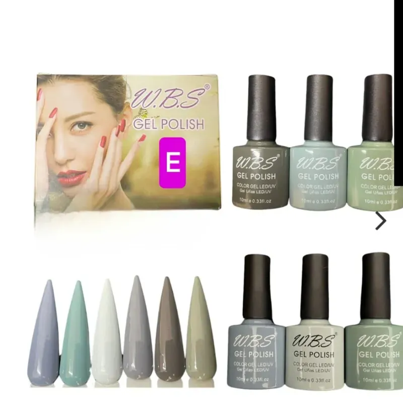 Pintura 10 ml WBS E