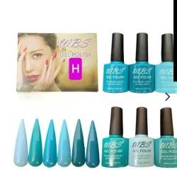 Pintura 10 ml WBS H