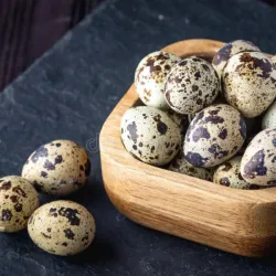 Huevos de codorniz