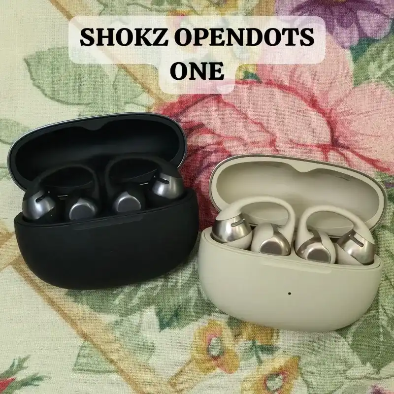 SHOKZ OPENDOTS ONE