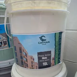Blanco Pintura Mate 5 años 19 lts