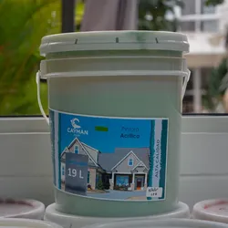 Pintura Acrílica Transitable 19 lts
