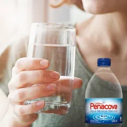 Agua mineral natural 330 ml 💦