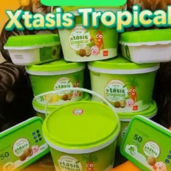 🍬 Helado de Medio Litro