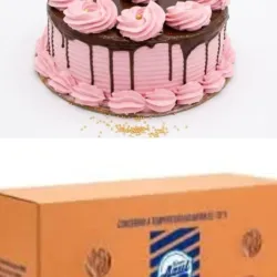 COMBO HELADO NESTLE + 1 CAKE