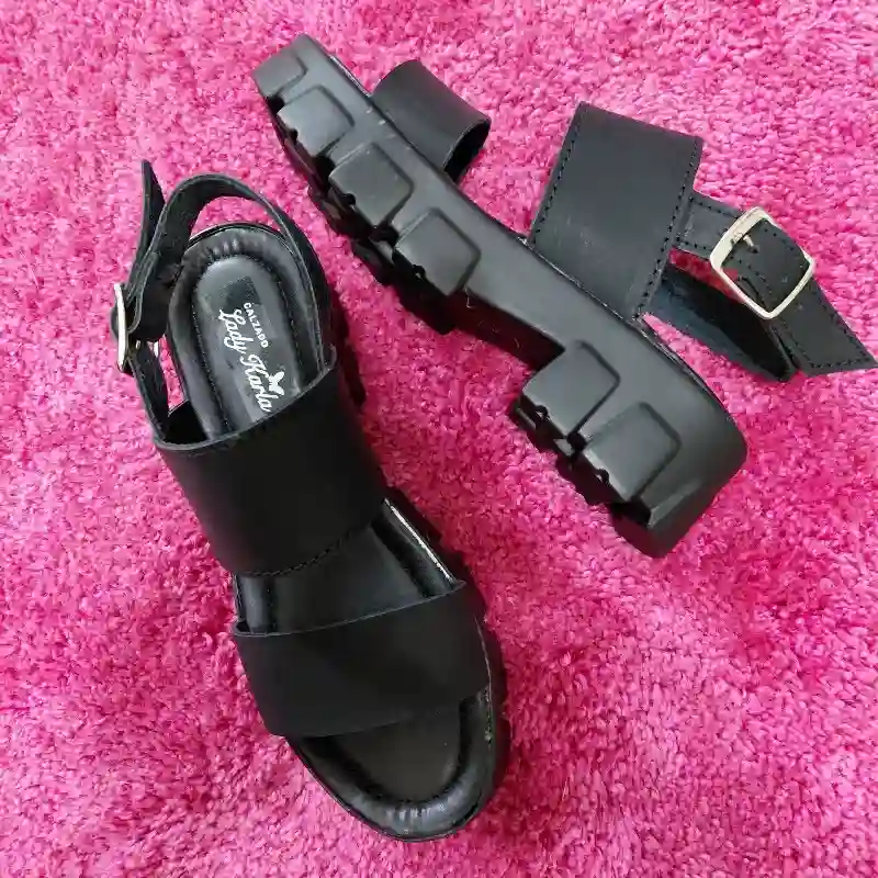 Aster 2Pala