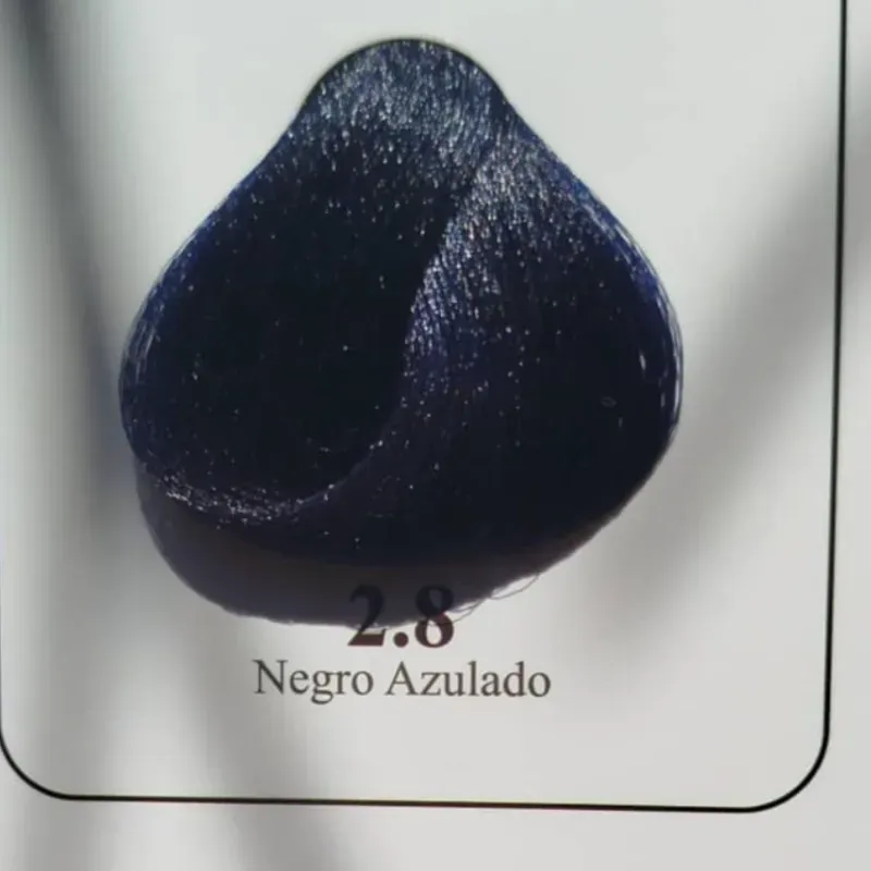 2.8-Negro Azulado 