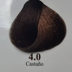 4.0 - Castaño 