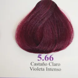 5.66-Castaño Claro Violeta Intenso 