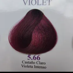 5.66-Castaño Claro Violeta Intenso 