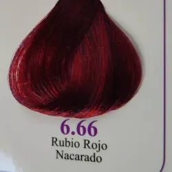 6.66 - Rubio Rojo Nacarado 