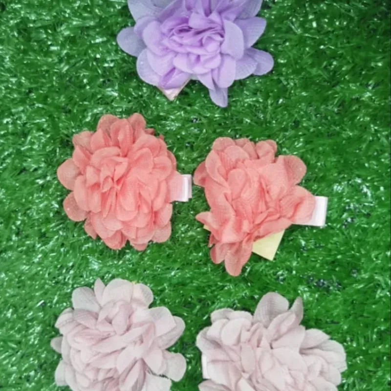 Hebillitas de Claveles 