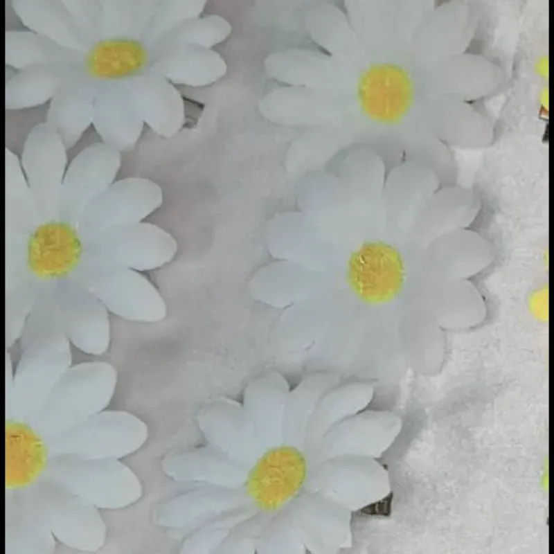 Hebillitas de Margaritas 