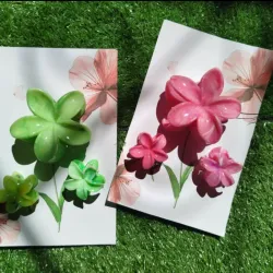 Set de 3 Pellizcos  ,con postal incluida .