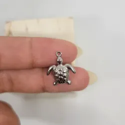 Tortuga