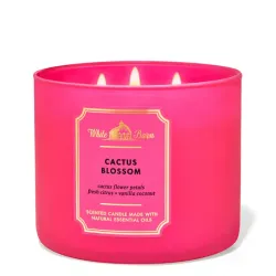 Vela bath and body works 