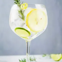 Gin tonic 🍹