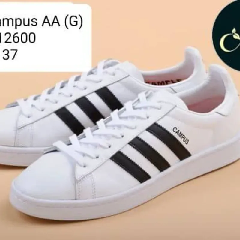 Adidas Campus (F)