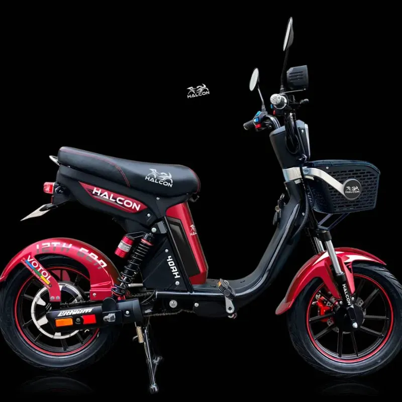 Bicimoto Halcon 2024