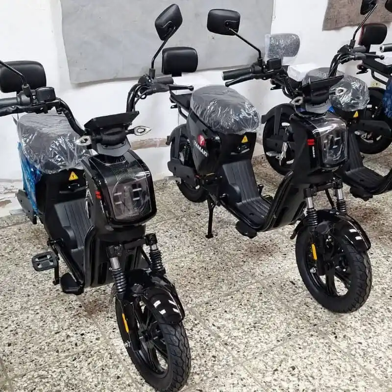 Bicimoto YAMAKI   B2