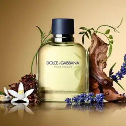 Dolce&Gabbana Pour Homme (F)