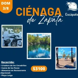 *🌴Escápate a la Ciénaga de Zapata🐊*