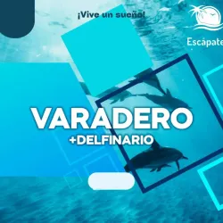 *🌴Escápate a Varadero🏖️ + Delfinario🐬* (E)