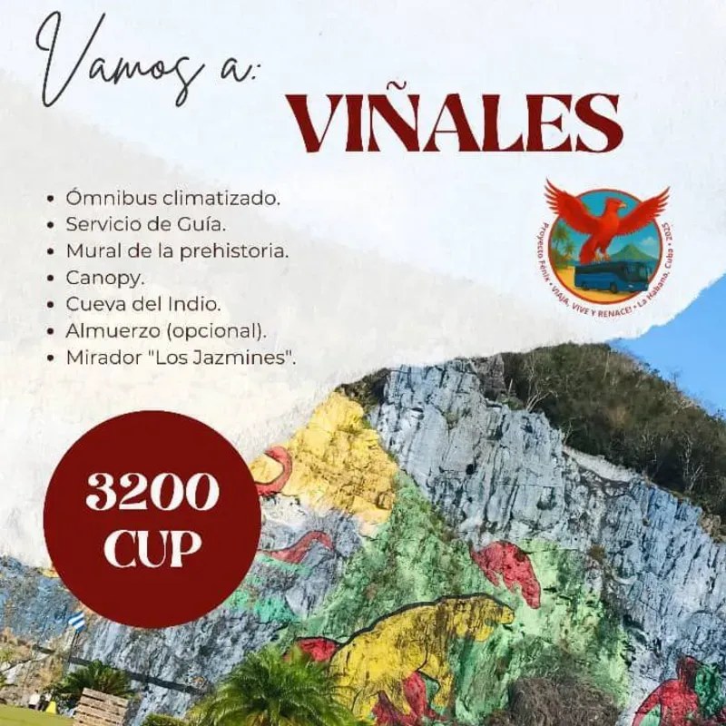 EXCURSIÓN A VIÑALES ⛰️ (F)