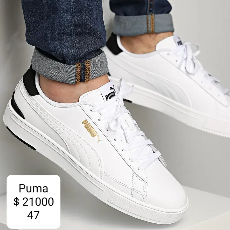 Puma (Fel)