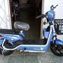 *Motico Pryna*