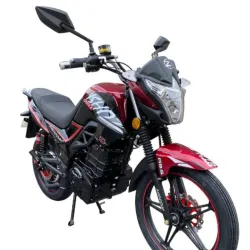MOTO ELECTRICA MISHOZUKI COYOTE