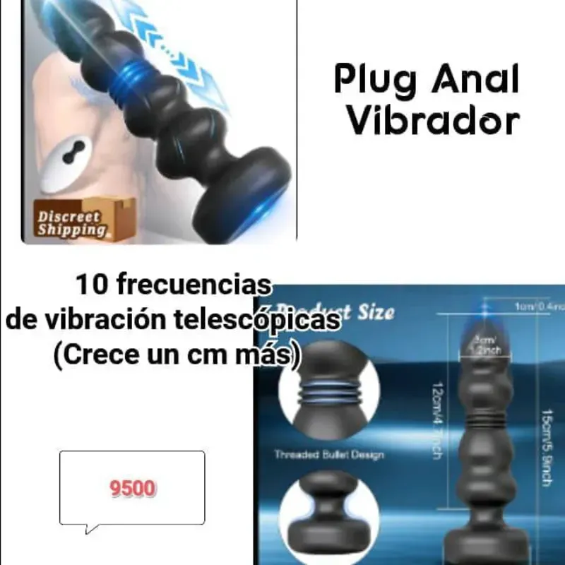 Plug