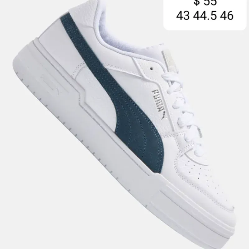 Puma CaPro (Fel)