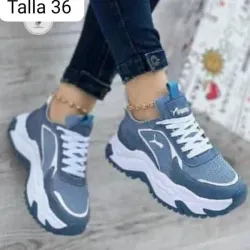 Puma (M)