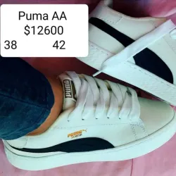 Puma
