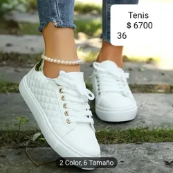 Tenis