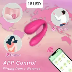 Vibrador Control Remoto (T)
