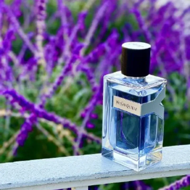 Yves Saint Laurent Y Yves Saint Laurent (PE)