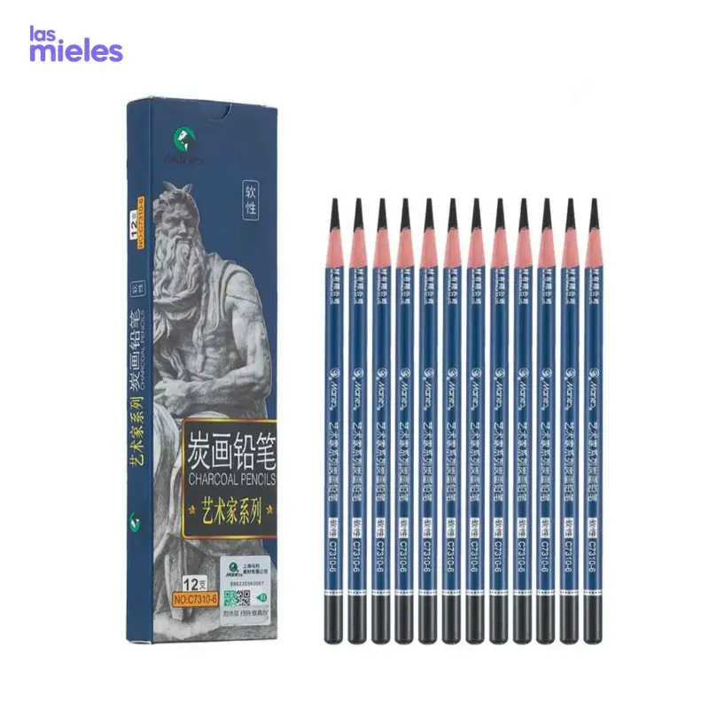 Lápices profesionales de carboncillo