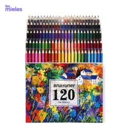 Lápices profesionales de colores 120U