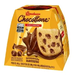 Chocottone con Chocolate Chips