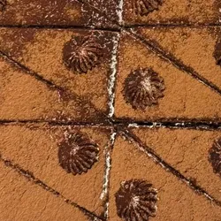 Lonja de Chocolate