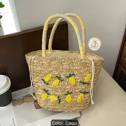cartera de playa mediana