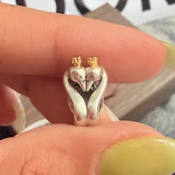 Charm cisnes 🦢