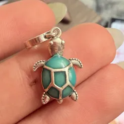 Charm Tortuga